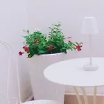 Comes 5 Apartmán