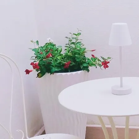 Comes 5 Apartment